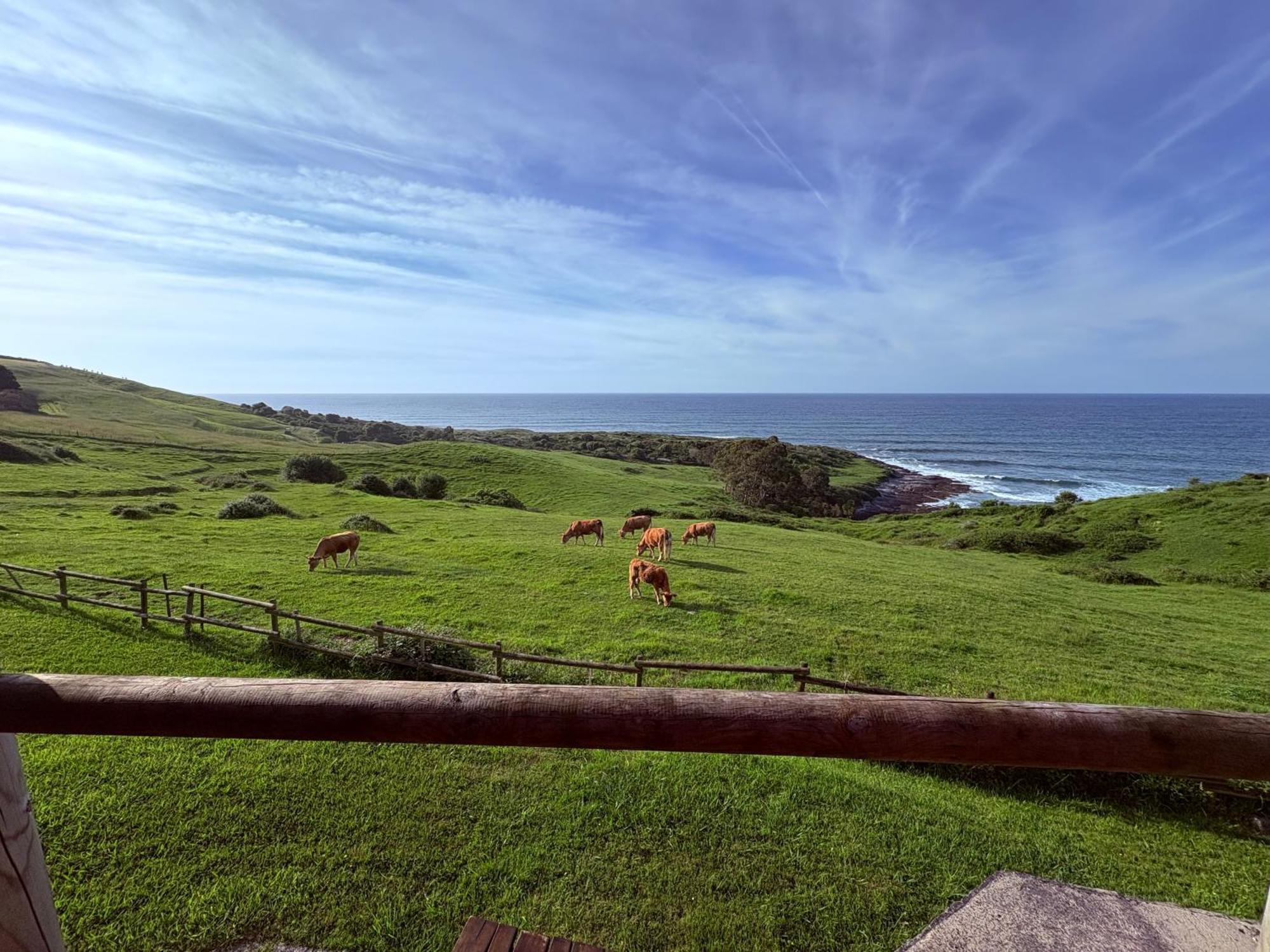 Posada Punta Linera San Vicente De La Barquera Eksteriør bilde