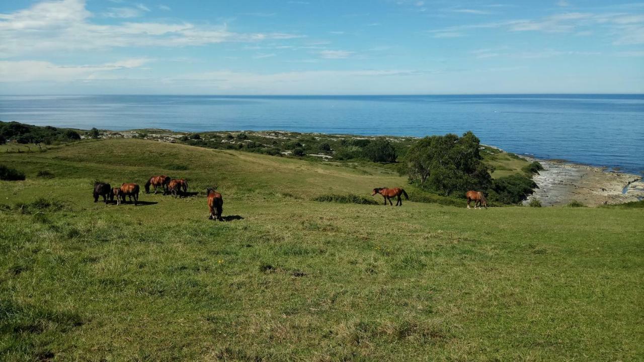 Posada Punta Linera San Vicente De La Barquera Eksteriør bilde